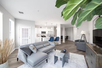 A living room with a grey sofa and a white rug.